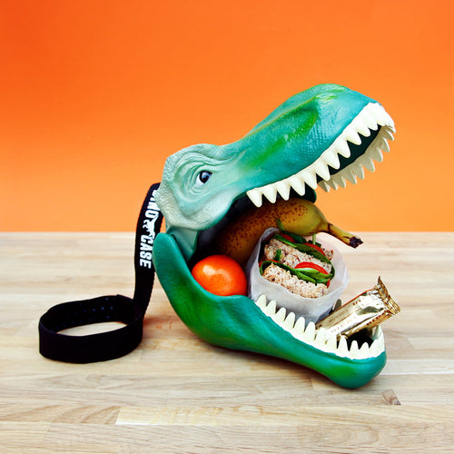 Dinosaur Lunch Box