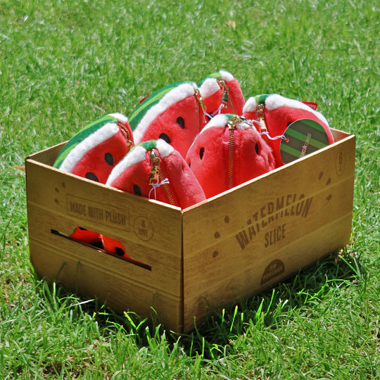 Plush Watermelon Zip Pouch - Squishy melon zip-up case