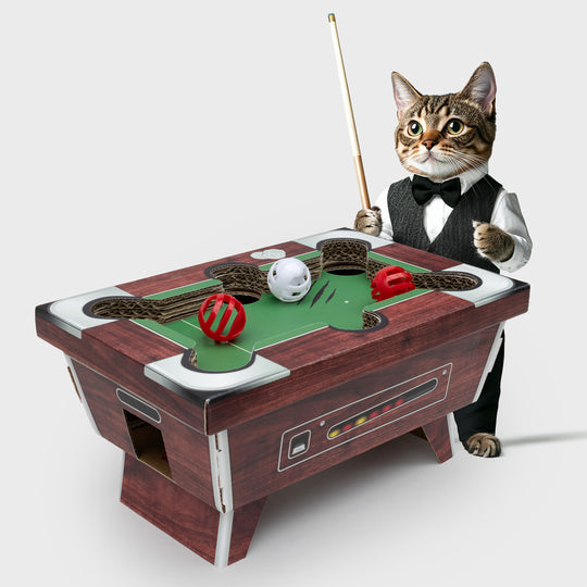 Pool Table Cat Toy