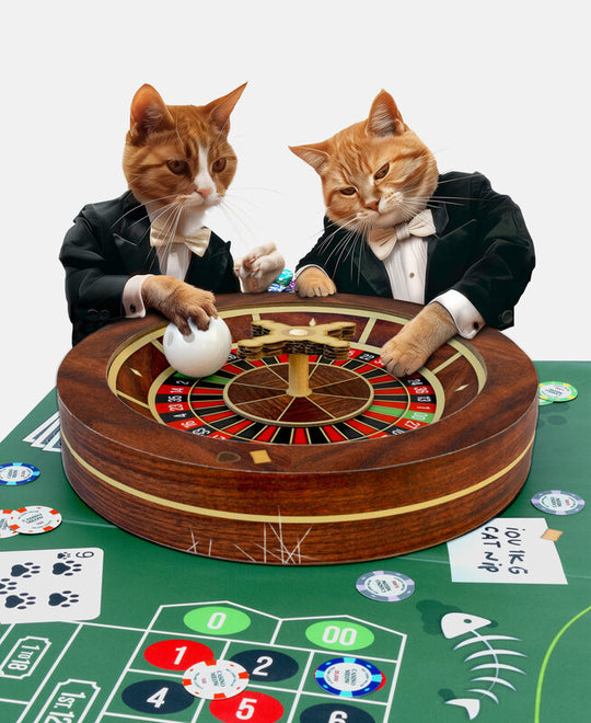 Cat Casino