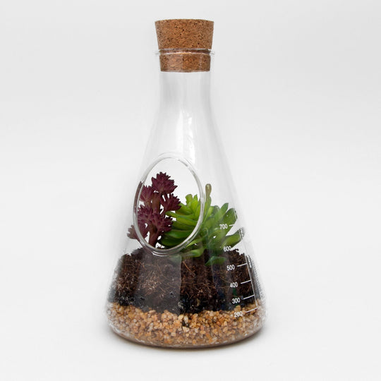 Chemistry Terrarium Kit