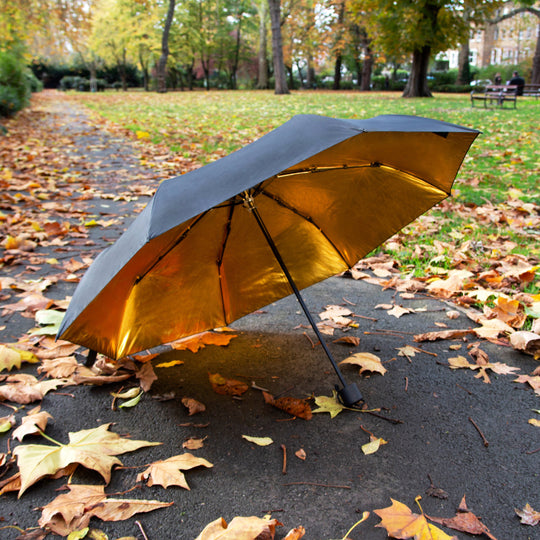 Black & Gold Umbrella