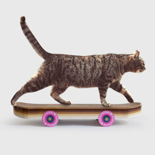 Cat Scratch Skateboard