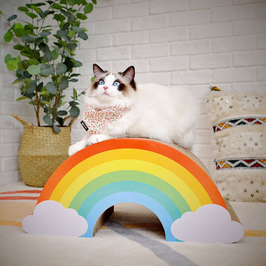 Cat Scratch Rainbow